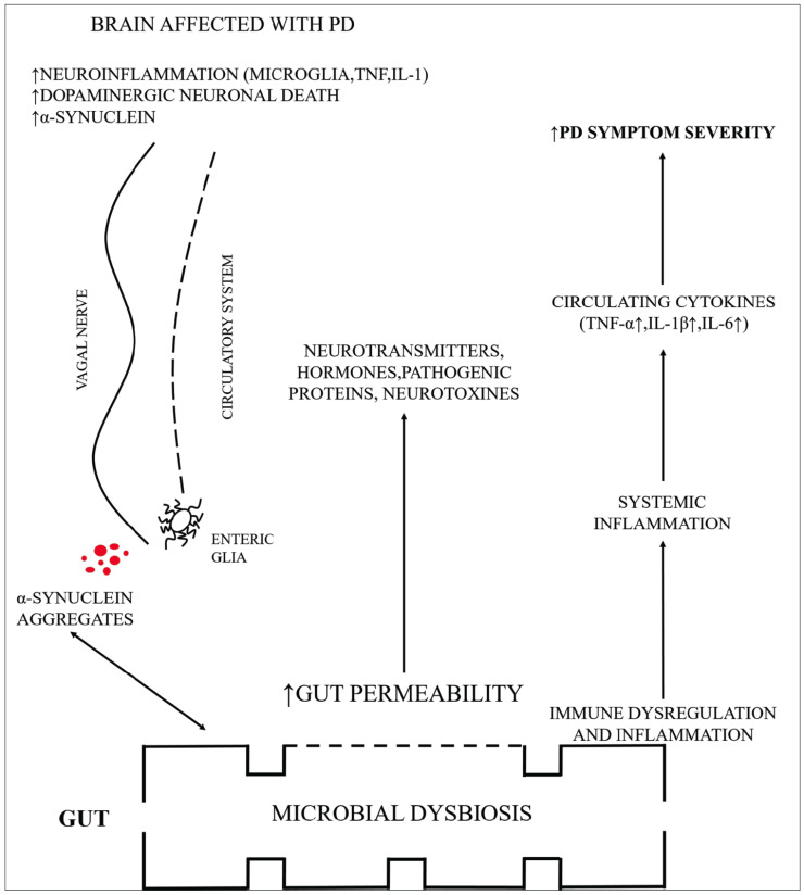 Fig. (2)