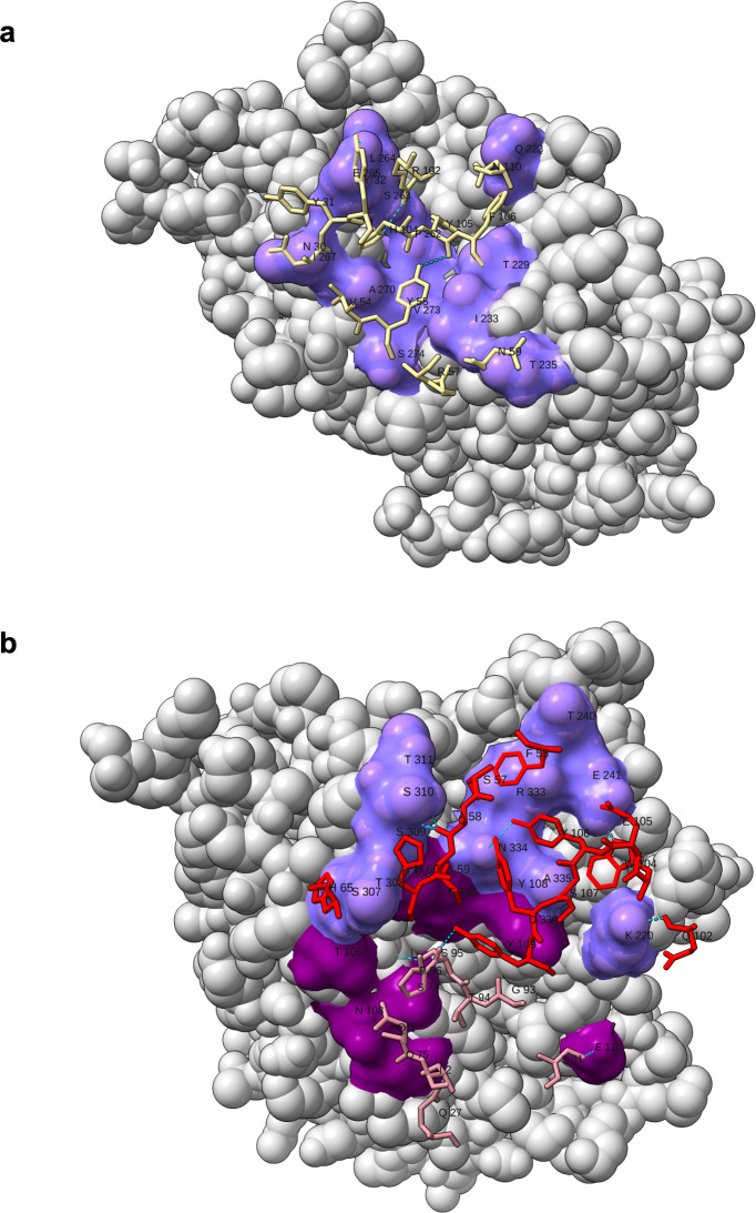 Figure 4—figure supplement 2.