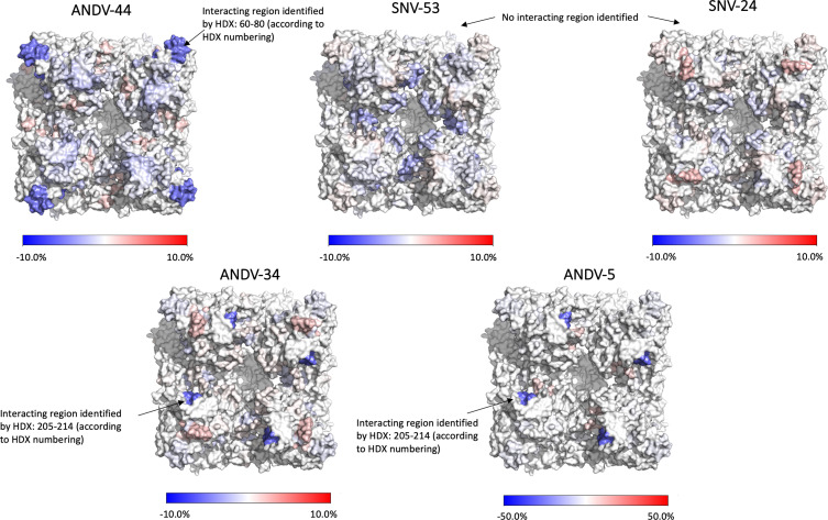 Figure 3—figure supplement 2.