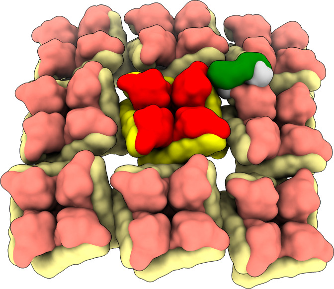 Figure 3—figure supplement 1.