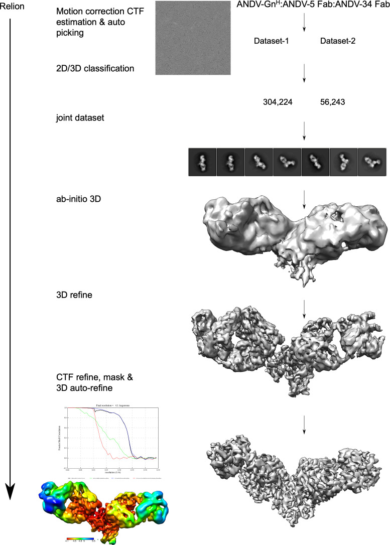 Figure 4—figure supplement 1.