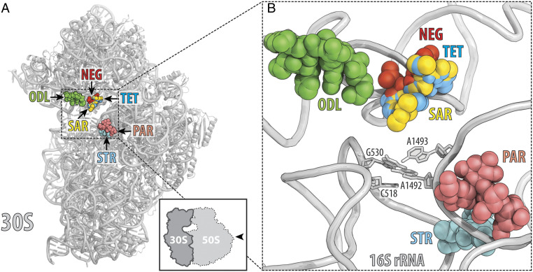 Fig. 3.