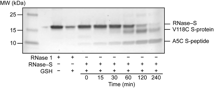 Figure 5.