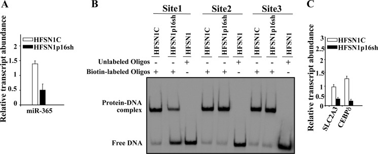 FIGURE 9.