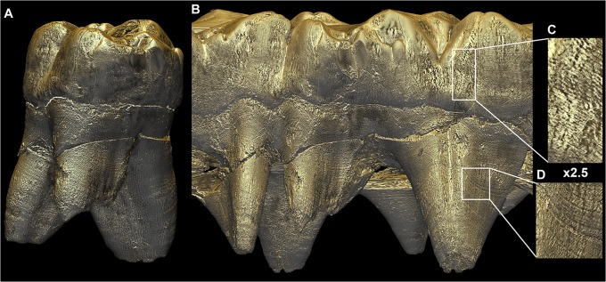 Fig 8