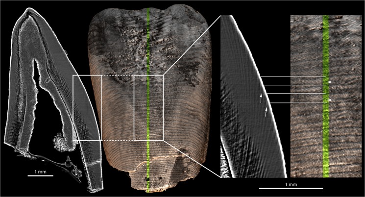 Fig 5