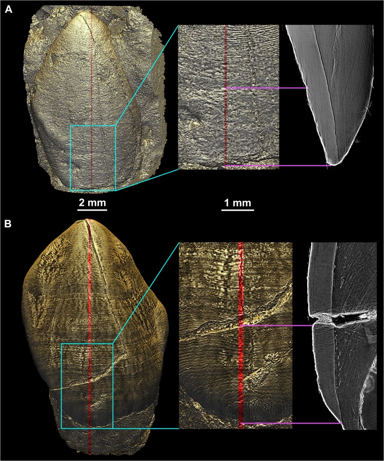 Fig 6