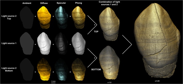 Fig 1