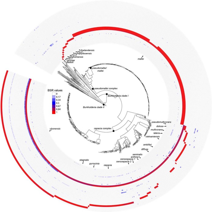 FIG 2 