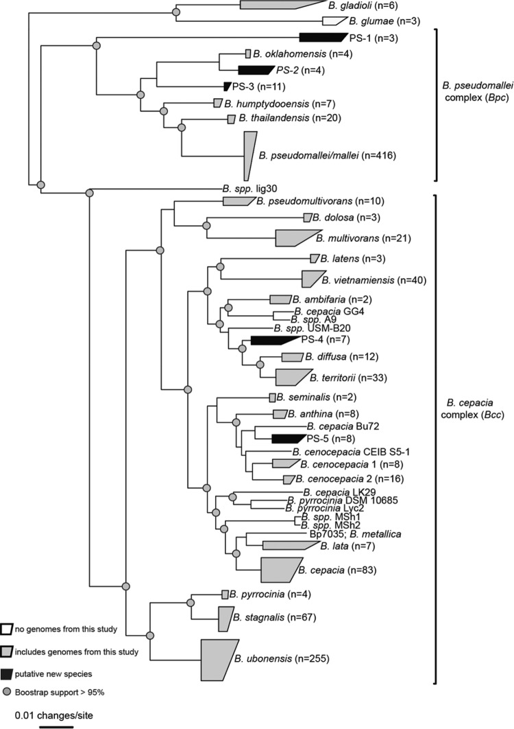 FIG 1 