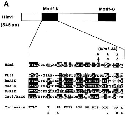 FIG. 6