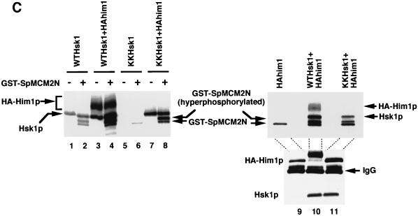 FIG. 1