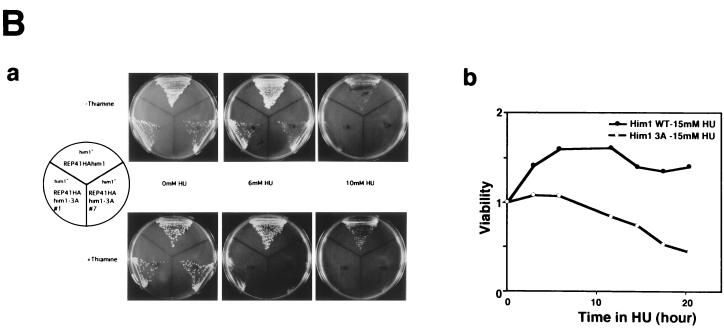 FIG. 6