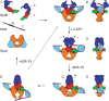 Figure 13