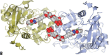 Figure 17b