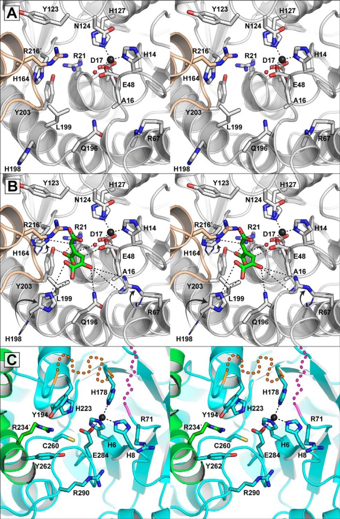 FIGURE 4.