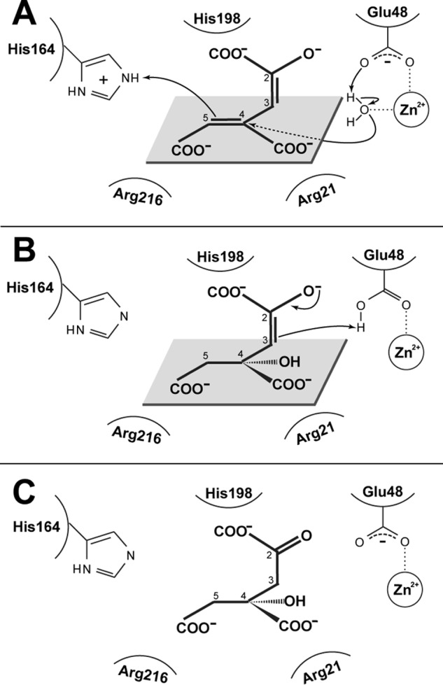 FIGURE 9.