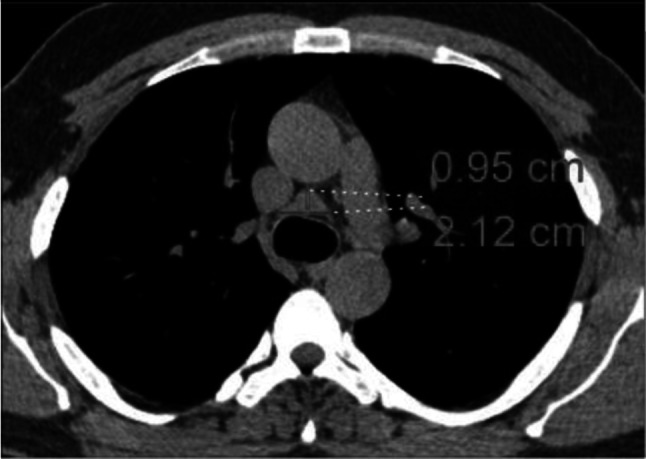 Fig. 8