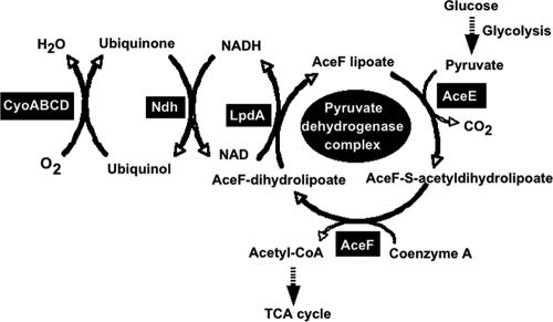 FIG. 7.