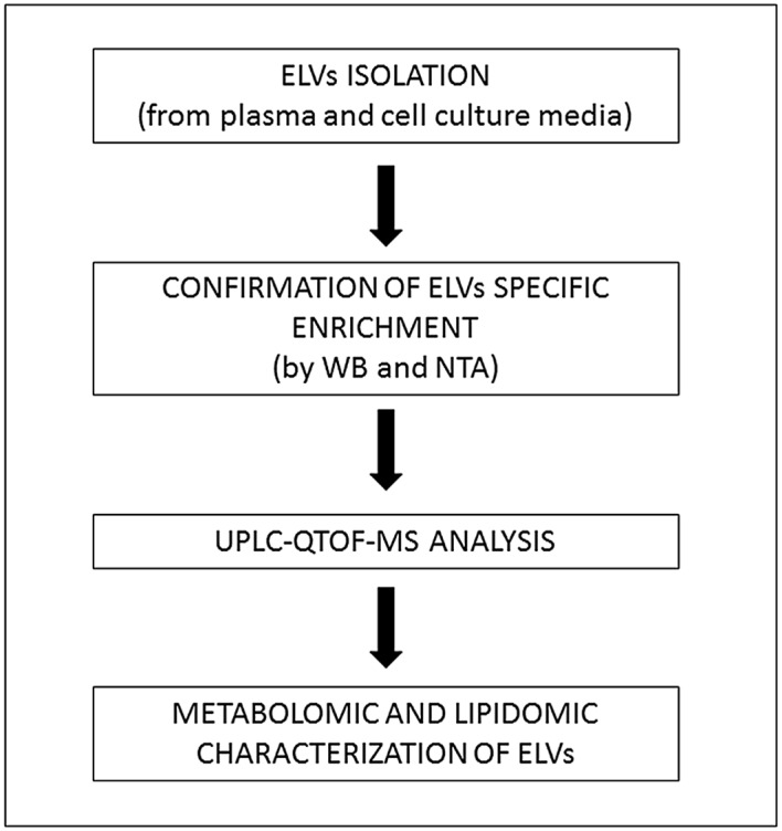 Fig 8