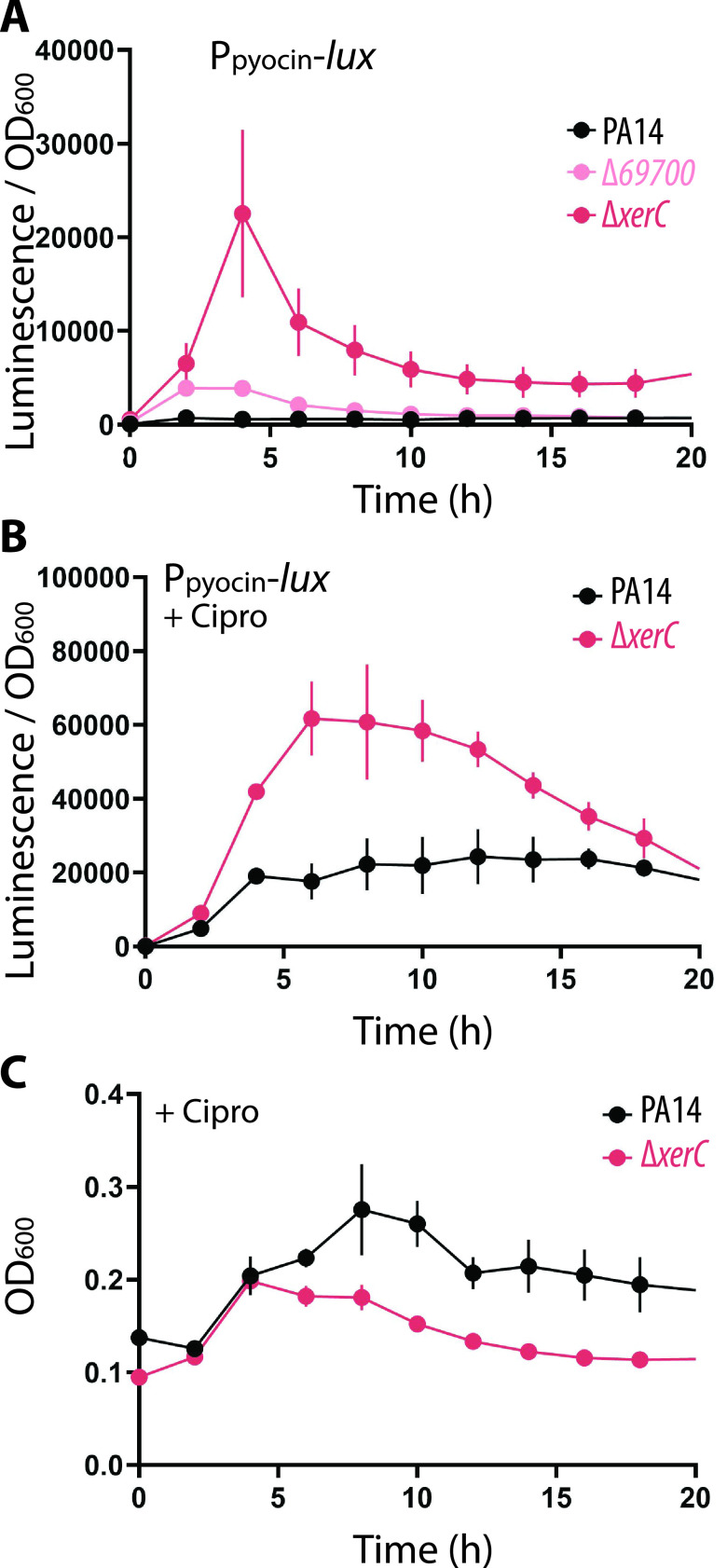 FIG 3