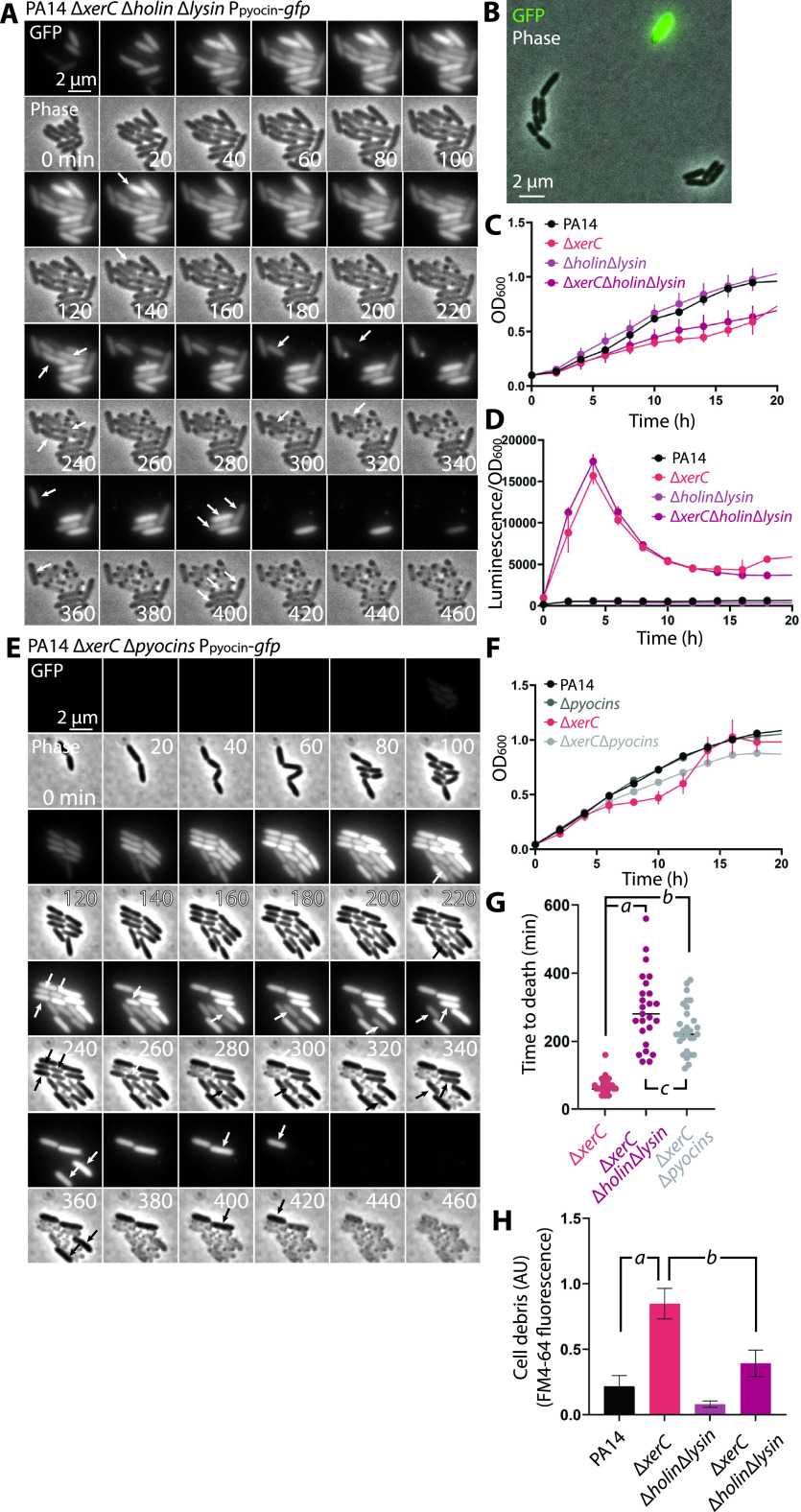 FIG 8