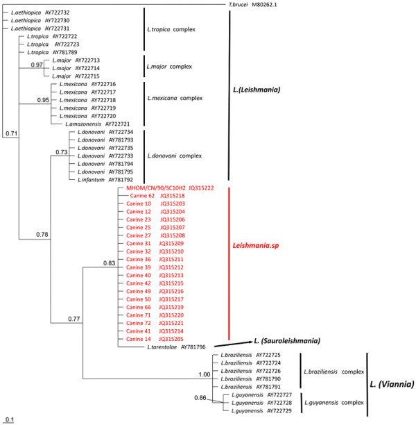 Figure 2