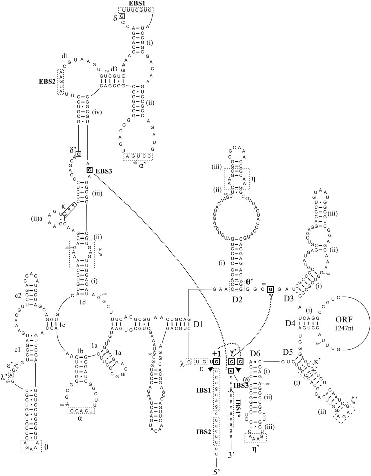 FIGURE 2.