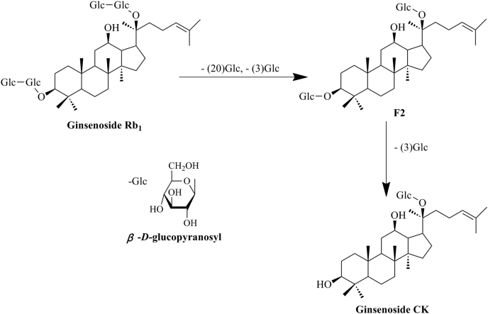 Fig. 1