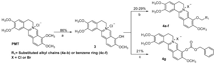 Scheme 2