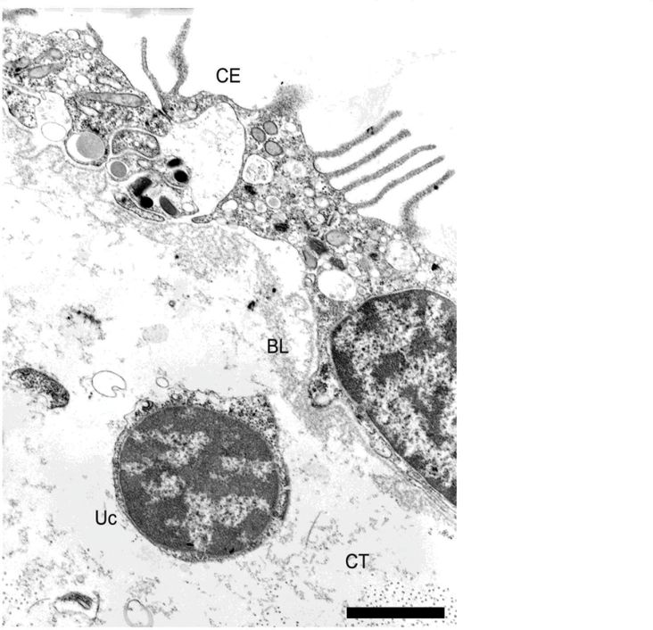 Figure 6.