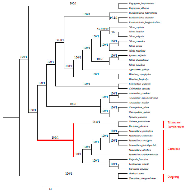 Figure 10