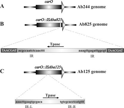 FIG. 7.