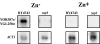 FIG. 2.