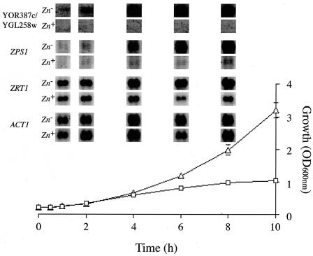 FIG. 1.