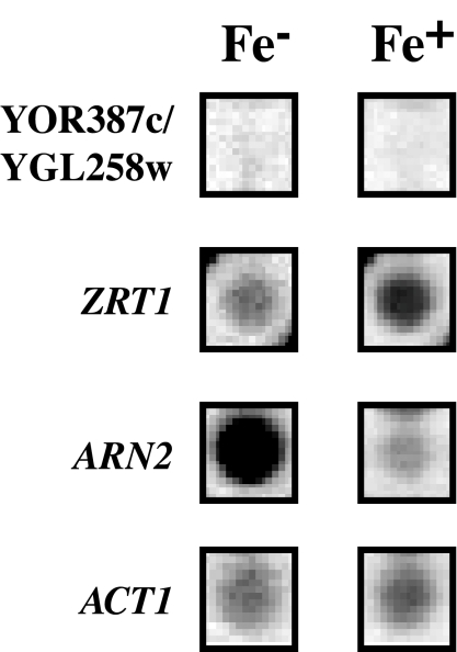 FIG. 4.