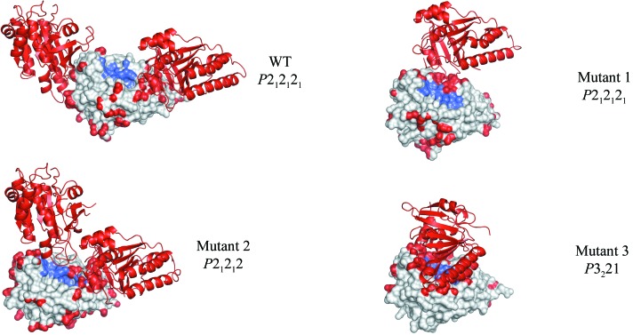 Figure 5