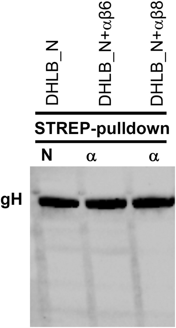 Fig. S1.