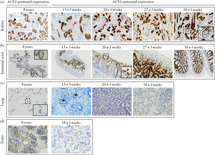 UOG-22178-FIG-0001-c