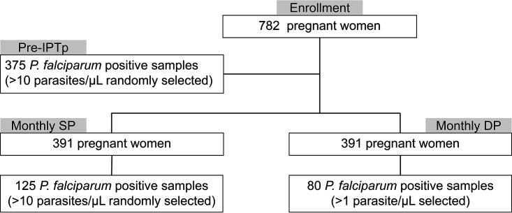 FIG 1