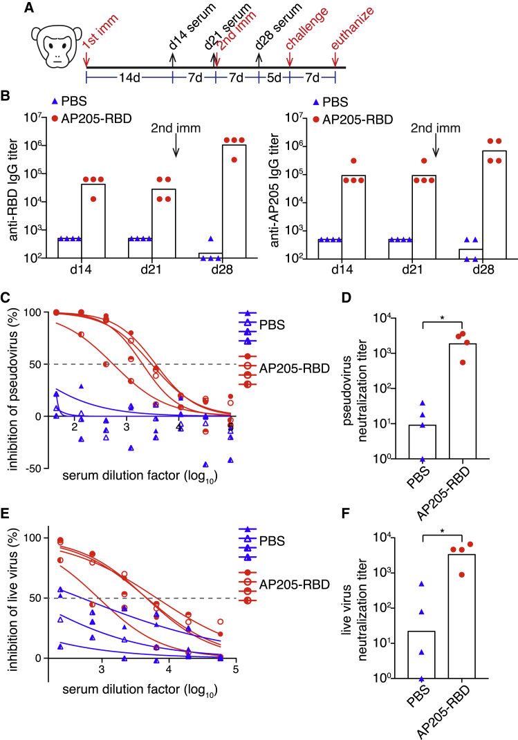 Figure 6