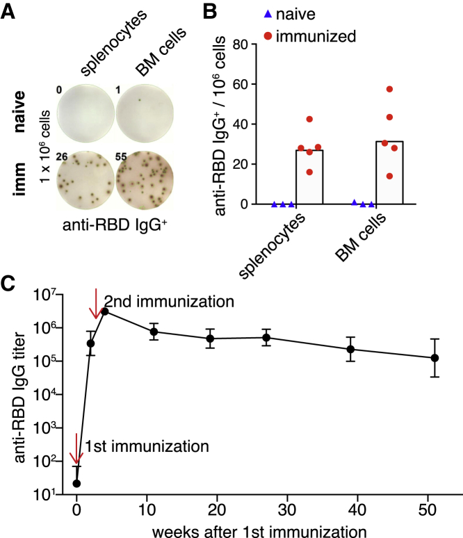 Figure 5