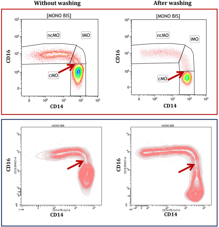 FIGURE 4