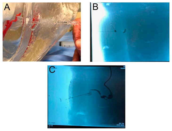 Figure 5