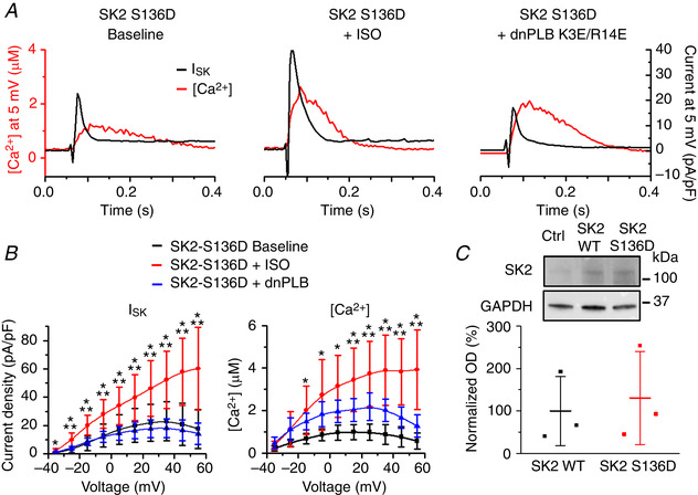 Figure 19