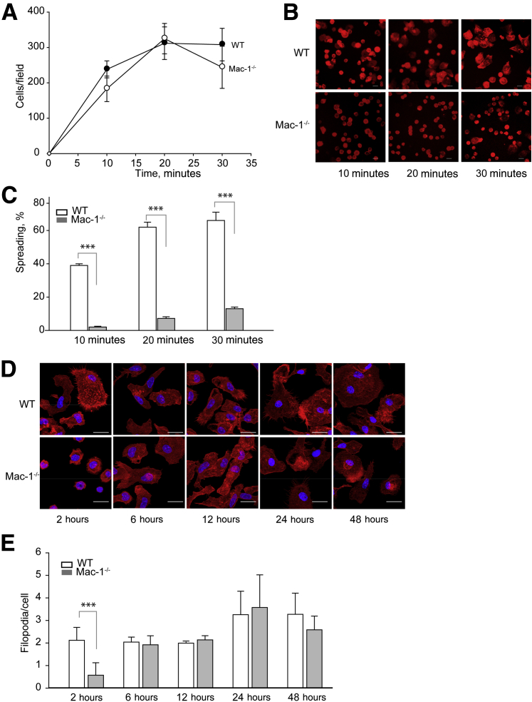 Figure 6