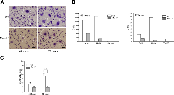 Figure 3