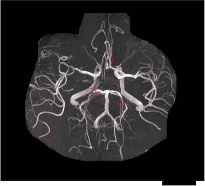 Figure 2.