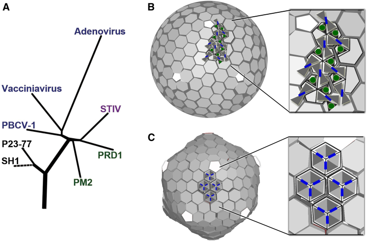 Figure 5