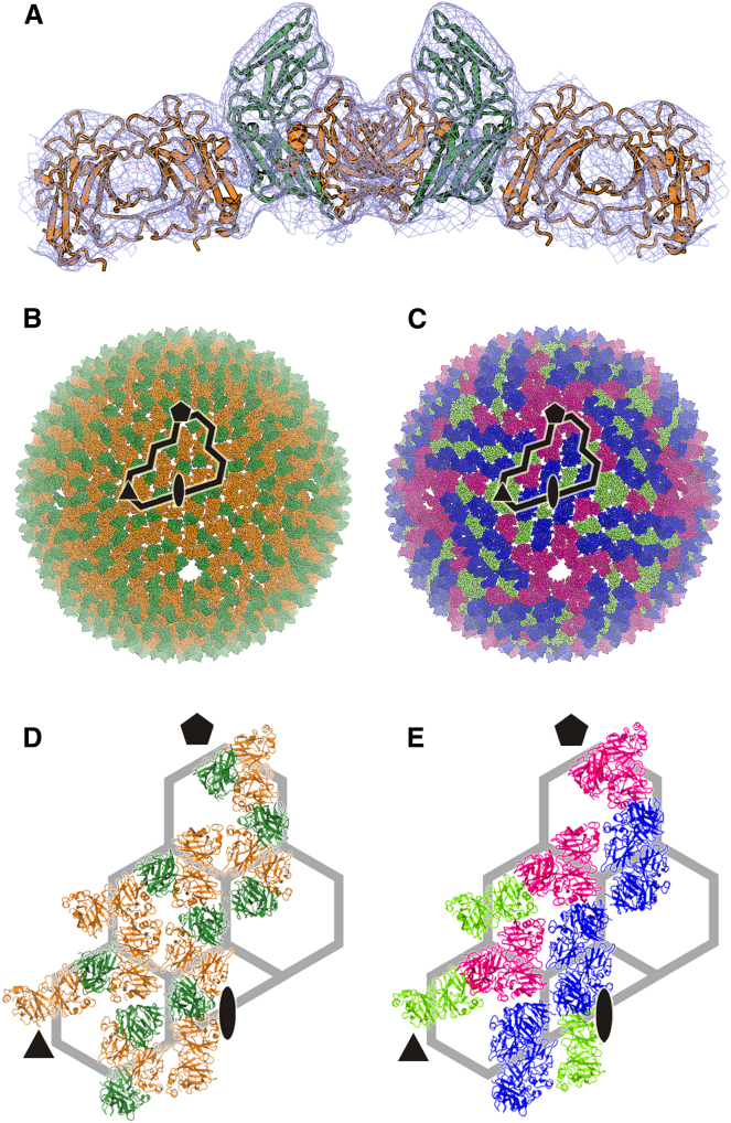 Figure 3